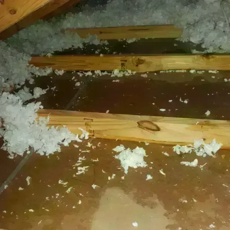 Attic Water Damage in Sherwood, OR