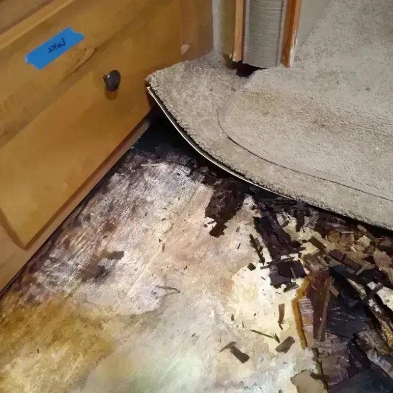 Wood Floor Water Damage in Sherwood, OR